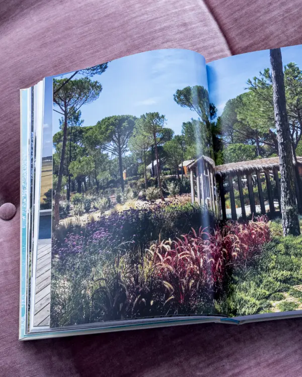 Libro Comporta Bliss - Imagen 2