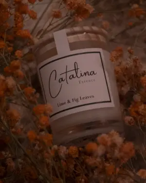 Vela Lime & Fig Leaves CS