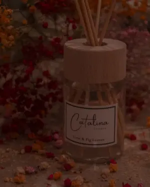 Mikado Lime & Fig Leaves