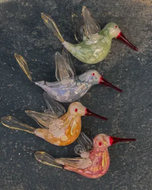 Pájaro Cristal Pico Rojo Estampado CS